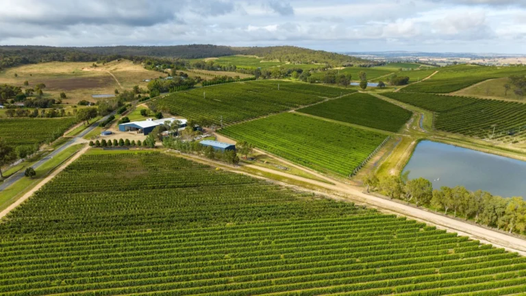 Wandin Valley Farms website shown on desktop and mobile